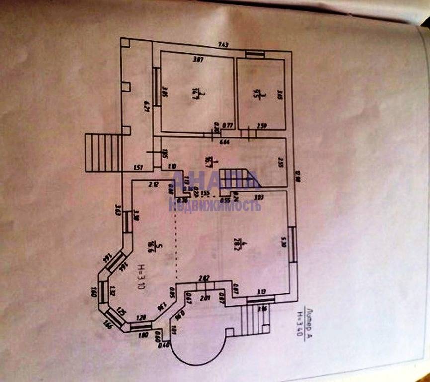 1 (81)