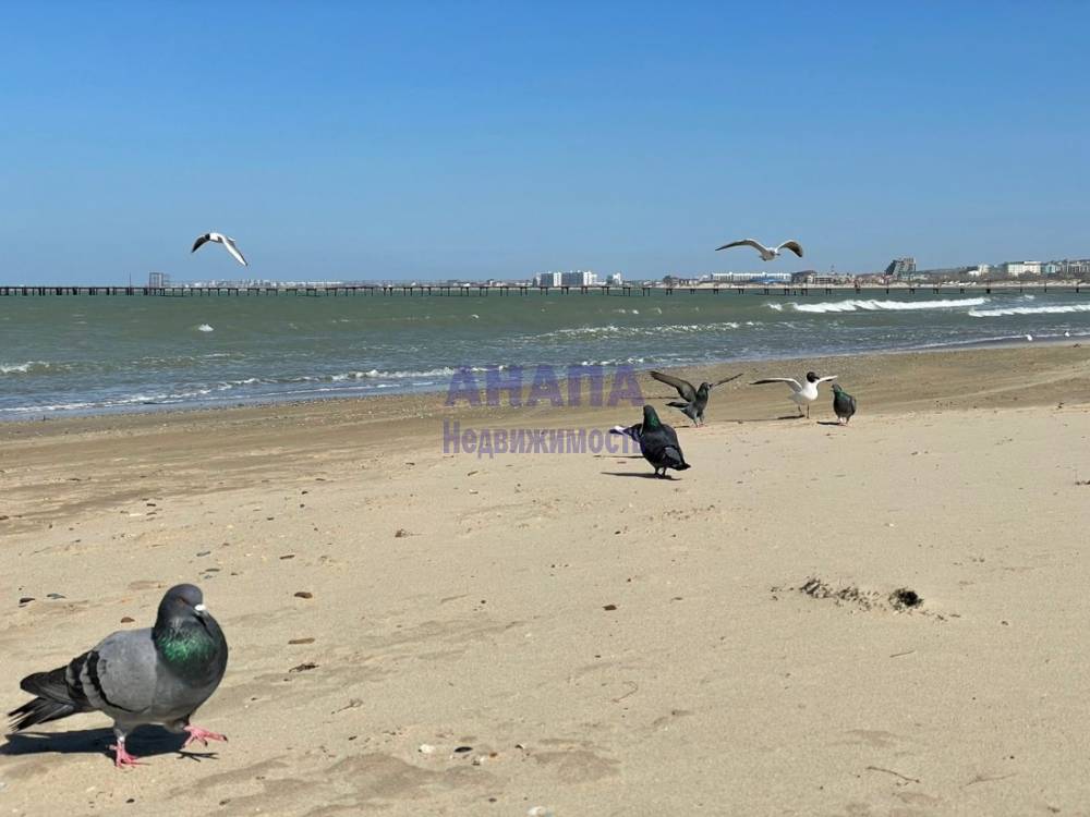 Песчаный пляж