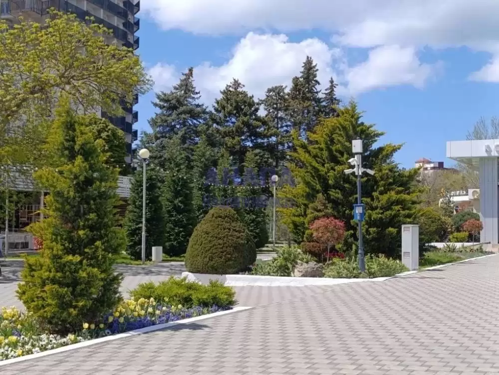 Центр города